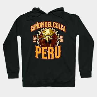 condors from Peru Hoodie